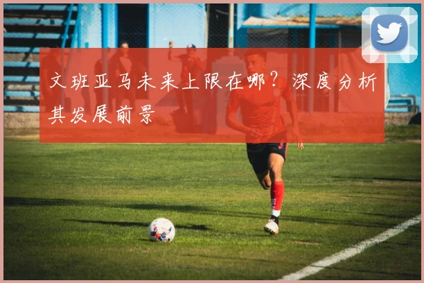 文班亚马未来上限在哪？深度分析其发展前景