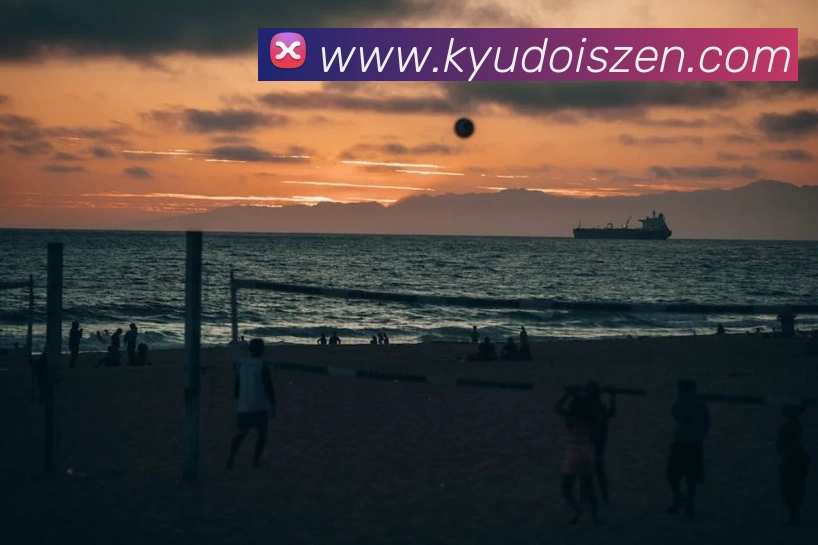 万博体育官网平台生态图